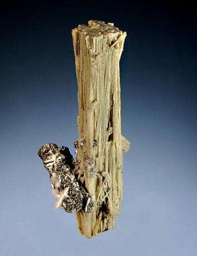 Elpidite
Poudrette Quarry, Mont Saint-Hilaire, Monteregie, Quebec, Canada
1.0 x 5.0 cm.
Elongated bundle of pale tan crystals in parallel growth associated with pyrite and tiny white albite crystals. (Author: crosstimber)