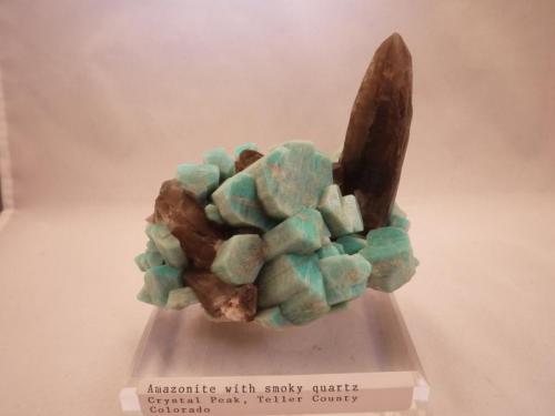 Amazonite, smoky Quartz
Crystal Peak, Teller County, Colorado, USA
11.2 x 8.3 x 9.9 cm (Author: Don Lum)