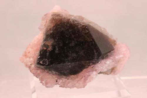 Quartz variety rose Quartz on smoky Quartz
Paroon, Afghanistan
9 x 6.3 x 6.5 cm (Author: Don Lum)