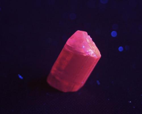 Escapolita - Fluorescente.
Baluchistan, Pakistan
27 x 12 x 10 mm
Luz UV onda corta. (Autor: Daniel C.M.)