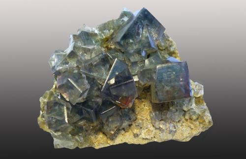 Fluorite
Middlehope Shield Mine, Westgate, Weardale, Co. Durham, England, UK
11x8 cm (Author: ian jones)