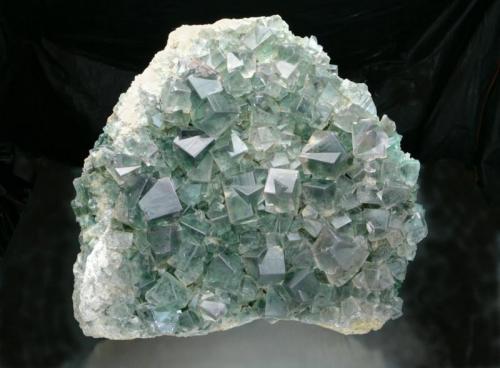 Fluorite
White’s Level, Middlehope Shield Mine, Weardale, England
19x17x6 cm overall, largest crystal 2.5 cm.
A very large find of green fluorite specimens occurred at this mine in 1818, and is the first recorded find of specimens in the Weardale area. Specimens can still occasionally be found offered for sale, though the location is usually given incorrectly as "Heights Mine" and now "Rogerley." (Author: Jesse Fisher)