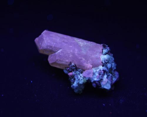 Fluorapatito - Fluorescente.
Imilchil, Er Rachidia Province, Meknès-Tafilalet Region, Morocco
30 x 18 x 18 mm
Luz UV onda corta. (Autor: Daniel C.M.)