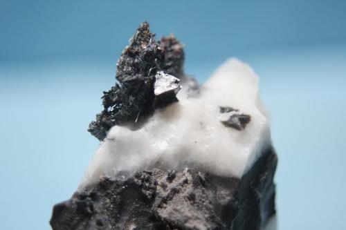 Tetraedrita<br />Escarlati Mine, Puerto de las Señales, Maraña, Comarca Montaña Oriental, León, Castile and León, Spain<br />Cristal de 5 mm<br /> (Autor: minero1968)