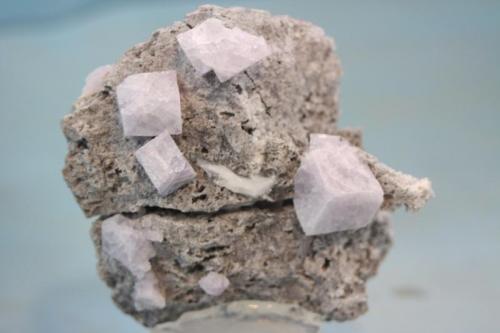 Fluorita<br />Escarlati Mine, Puerto de las Señales, Maraña, Comarca Montaña Oriental, León, Castile and León, Spain<br />7x6 cm<br /> (Autor: minero1968)