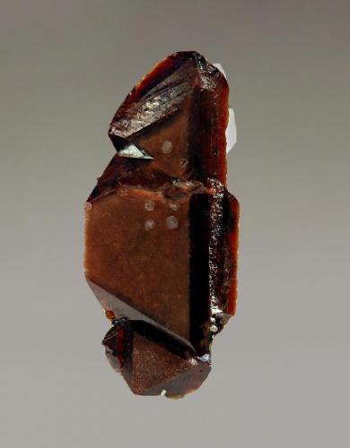 Rhodochrosite
Poudrette Quarry, Mont Saint-Hilaire, Monteregie, Quebec, Canada
1.0 x 2.5 cm.
Dark red twinned rhodochrosite crystal. (Author: crosstimber)