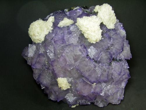 Fluorita-Barita
Elmwood Mine, Smith Co, Tennessee, USA
20 x 19 cm (Autor: geoalfon)