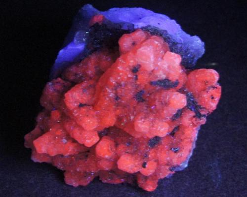 Calcita, fluorita, pirita - Fluorescente.
El Hamman, Meknés-Tafilalet, Marruecos.
5 x 4 x 2 cm.
UV onda corta. (Autor: Daniel C.M.)