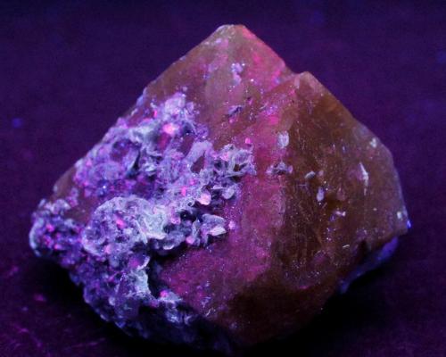 Scheelita - fluorescente
Yaogangxian Mine, Yaogangxian W-Sn ore field, Yizhang Co., Chenzhou Prefecture, Hunan Province, China
55 x 50 x 35 mm
Luz UV onda larga y el activador mas común  es WO42- (Autor: Daniel C.M.)