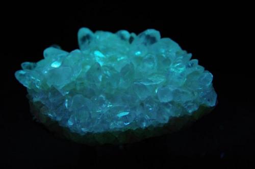 Calcita - Fluorescente
cantera Berta, El Papiol, Baix Llobregat, Barcelona, Cataluña, España
75 x 51 x 22 mm
Bajo UV onda corta la Calcita es blanco azulada. En algunos puntos la matriz es roja. (Autor: Juan María Pérez)