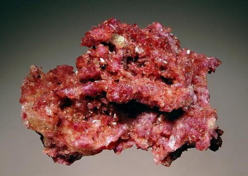 Vesuvianite
Jeffrey Mine, Asbestos, Estrie, Quebec, Canada
4.7 x 7.3 cm.
A vuggy matrix filled with lustrous, purple crystals of vesuvianite. (Author: crosstimber)