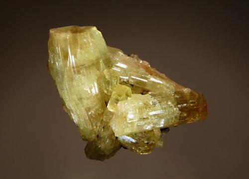 Vesuvianite
Jeffrey Mine, Asbestos, Estrie, Quebec, Canada
5.5 x 6.0 cm.
Intergrown, partly gemmy, lustrous apple green vesuvianite crystals. (Author: crosstimber)