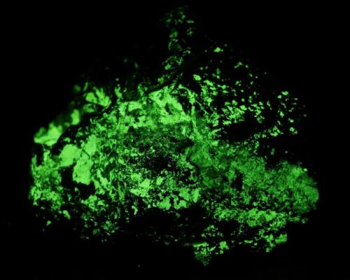 Uranocircita - Fluorescente
El Cabril, Hornachuelos, Cordoba, Andalucía, España.
9 x 7 x 4 cm
Luz UV onda corta, muy similar en onda larga, el activador mas común es(UO2) 2 + (ion uranilo) intrínseco (Autor: Daniel C.M.)