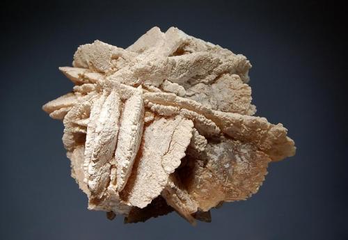Quartz ps. afte gypsum
Crawford, Dawes County, Nebraska, USA
7.2 x 9.2 cm.
Rosette of flattened quartz blades replacing gypsum. At one time this piece was in the E. M. Gunnell and Ed Swoboda pseudomorph collection. Gunnell’s label indicates he received it as a gift in 1959. (Author: crosstimber)