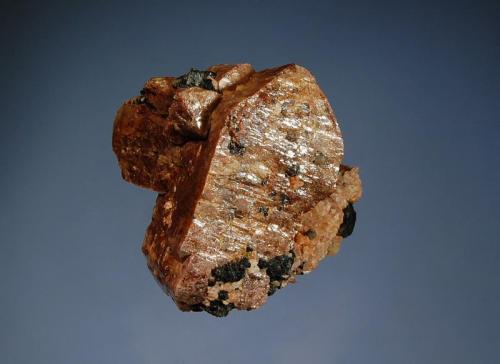 Zircon
Kipawa alkaline complex, Les Lacs-du-Témiscamingue, Abitibi-Témiscamingue, Québec, Canada
3.8  x 4.4 cm.
Reddish brown zircon crystals with an unidentifed black amphibole, perhaps aegirine. (Author: crosstimber)