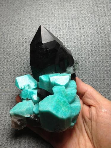 Microcline (variety Amazonite) with smoky Quartz
Colorado, USA

From the Dorris family, an unrepaired smoky and amazonite. (Author: Gail)