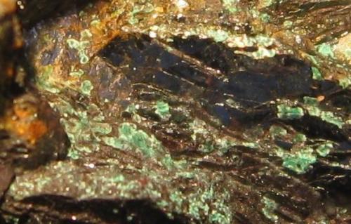Malachite on Hematite 
Manassas quarry, Manassas, Prince William Co., Virginia, USA
1 x 0.6 cm FOV 
Self-collected
Photo & specimen: Jessica Simonoff (Author: Jordi Fabre)