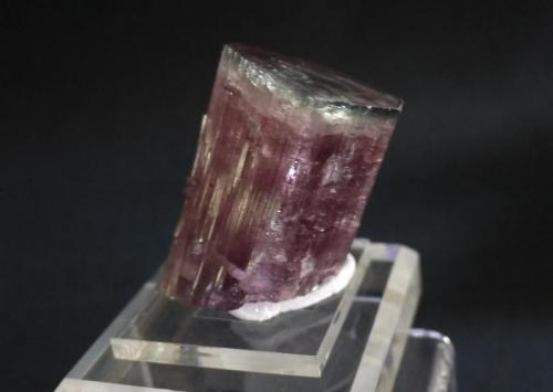 Tourmaline  var Blue Cap
Pala Chief Mine, Pala, San Diego County, California, USA
6.2 x 4.5 cm (Author: Don Lum)