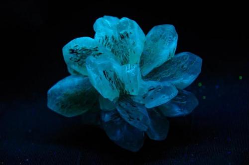 Yeso - Fluorescente
Bélgica
68 x 59 x 49 mm
Bajo UV de onda corta. El Yeso es blanco azulado. (Autor: Juan María Pérez)