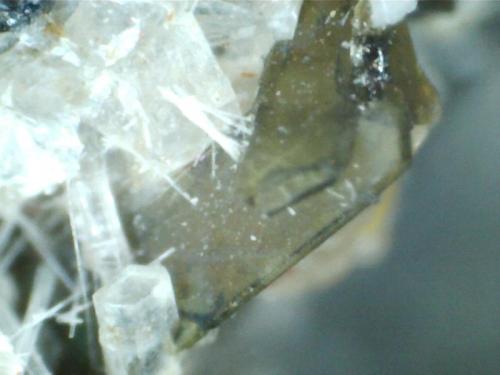 Clinopiroxeno y nefelina
Eifel, Rhineland-Palatinate, Alemania
400X
Cristales verdes de clinopiroxeno y prismas blancos de nefelina.  Micro de una paragénesis característica de la localidad, llamada "Kluftparagenese" que incluye también la melilita.  Ver http://www.foro-minerales.com/forum/viewtopic.php?t=8865 . (Autor: prcantos)