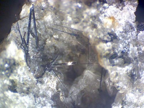 Aegirina
Tre Croci, Vetralla, Viterbo, Italia
80X
Cristales aciculares microscópicos de aegirina. (Autor: prcantos)