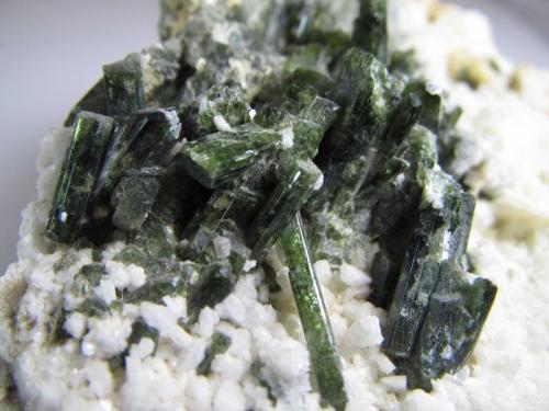 Diópsido
Pakistán
3 cm. de acho el grupo de cristales
Cristales verdes de diópsido en una pegmatita de albita (ver http://www.foro-minerales.com/forum/viewtopic.php?t=8698 ). (Autor: prcantos)