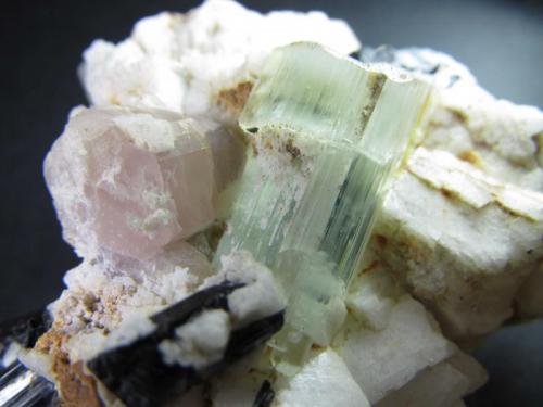 Turmalina, berilo, apatito y feldespato
Norte de Pakistán
5 x 6’5 cm.
Detalle de los cristales. (Autor: prcantos)