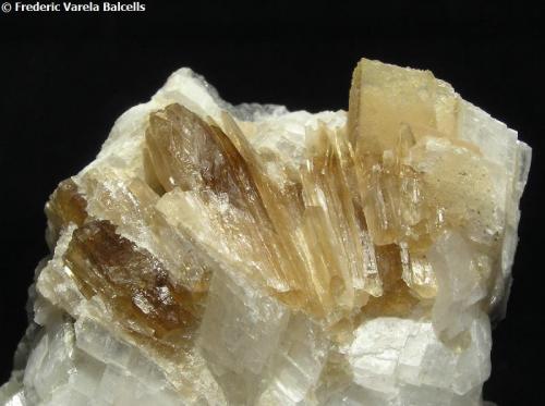 Aragonito, dolomita.-Fluorescente
Cantera Azcárate (Cantera Azkarate), Eugui (Eugi), Esteríbar (Esteribar), Navarra, España
Encuadre 4 x 3 cm.
Grupo de cristales lanceolados junto con pequeños cristales en forma de hacha de doble filo recubriendo romboedros de dolomita (parte superior derecha). (Autor: Frederic Varela)