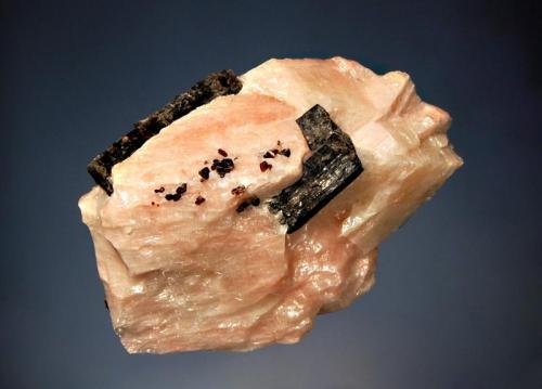 Fluoro-richterite
Essonville roadcut, Wilberforce, Halliburton Co., Ontario, Canada
6.5 x 9.0 cm.
Black fluoro-richerite to 4 cm in length embedded in pinkish-white calcite with small, gemmy brown phlogopite crystals. Collected 7-21-99. (Author: crosstimber)