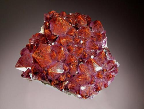 Quartz var. amethyst
Diamond Willow Mine, Pearl Station, Ontario, Canada
6.5 x 7.2 cm.
A mounded plate of amethyst crystals included with reddish brown hematite. (Author: crosstimber)