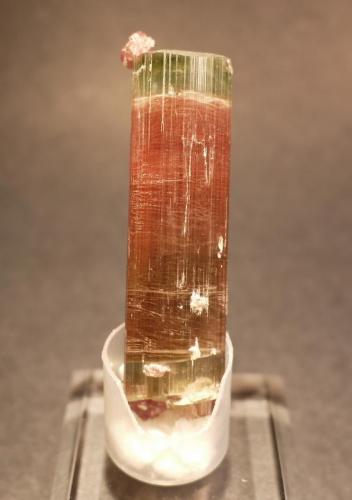 Elbaite, Lepidolite
Himalaya Mine, San Diego County, California, USA
7.5 x 2.0 cm (Author: Don Lum)