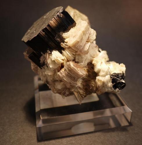 Schorl, Mica, Quartz, Albite
Baker Boulevard (level), Oceanview Mine, Pala, San Diego County, California, USA
7.5 x 7.5 cm (Author: Don Lum)