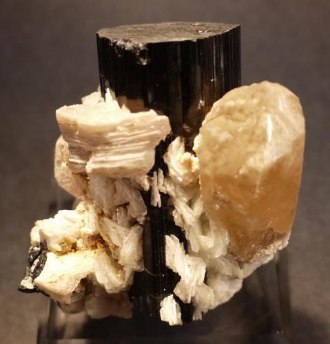 Schorl, Mica, Quartz, Albite
Baker Boulevard (level), Oceanview Mine, Pala, San Diego County, California, USA
7.5 x 7.5 cm (Author: Don Lum)