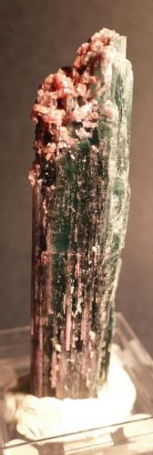 Tourmaline, Lepidolite
Cruzeiro Mine, San Jose Safira, Minas Gerais, Brazil
11.5 x 3.0 cm (Author: Don Lum)