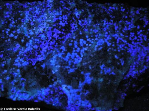 Fluorita, calcita
Singuerlín, Santa Coloma de Gramenet, Barcelonés, Barcelona, Catalunya, España
Encuadre 12 x 4 cm. aprox.
Vista parcial de la pieza anterior bajo luz UV. La calcita no parece ser fluorescente (onda media-larga) (Autor: Frederic Varela)