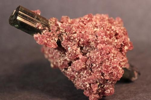 Tourmaline, Lepidolite
Conselheiro Pena, Doce Valley, Minas Gerais, Brazil
7 x 5 x 4 cm (Author: Don Lum)