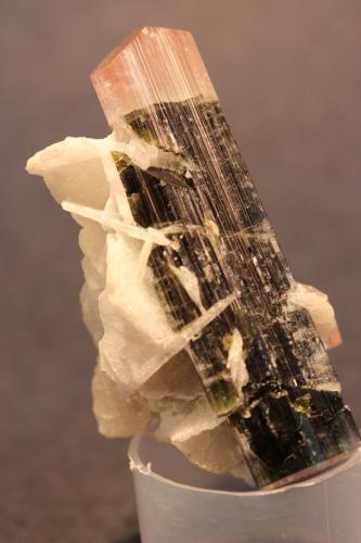 Elbaite, Albite
Stak Nala, Skardu, Gilgit-Baltistan, Pakistan
6 x 3.2 cm (Author: Don Lum)