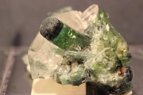 Tourmaline, Quartz
Minas Gerais, Brazil
7.8 x 5.8 x 3.4 cm (Author: Don Lum)