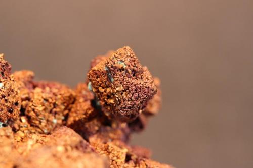 Copper pseudomorph after Cuprite
Poteryaevskoe Mine, Altaiskiy Kray, Western Siberian Region, Russia
6.2 x 5.2 x 4.5 cm (Author: Don Lum)