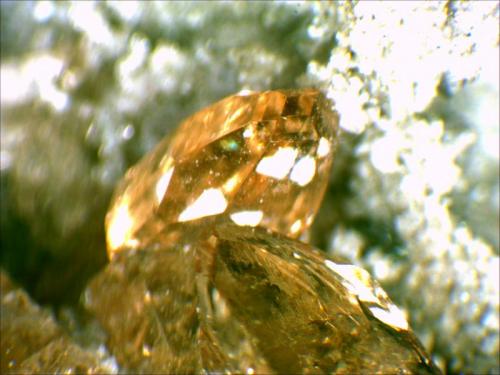 Topaz
Wah Wah Mountains, Beaver County, Utah,USA
1cm x.5cm (Author: Mark Ost)