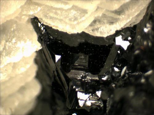 Sphalerite
Boldut Mine, Cavnic, Maramures, Romania
.3cm x .3cm x .3cm (Author: Mark Ost)