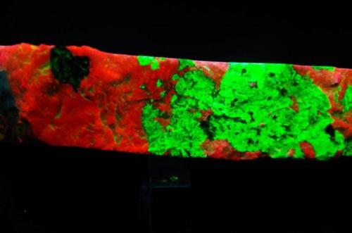 Calcita con Willemita - Fluorescente
Franklin, Sussex Co, New Jersey, EEUU
140 x 75 x 25 mm
Bajo UV de OC la Calcita es roja y la Willemita verde. Vista entre cortes. (Autor: Juan María Pérez)