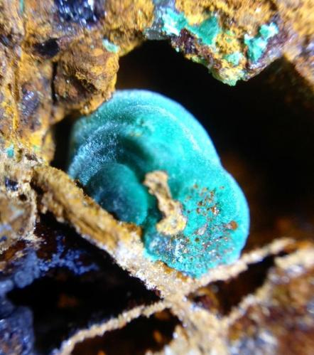 Malaquita<br />Infern Mine, Puig d'en Perals, Sant Joan de Palamós, Palamós, Comarca Baix Empordà, Gerona / Girona, Catalonia / Catalunya, Spain<br />4 x 4 mm<br /> (Autor: Emilio Téllez)