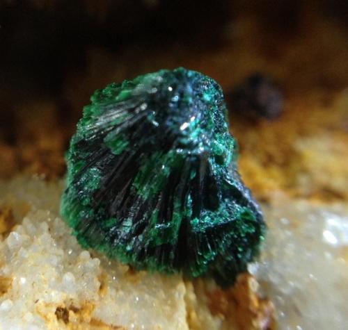 Malaquita sobre cuarzo<br />Pepito Mine, Mont-Ras, Comarca Baix Empordà, Gerona / Girona, Catalonia / Catalunya, Spain<br />5 x 5 mm<br /> (Autor: Emilio Téllez)