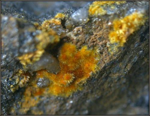 Karibibita
Mina Alcantarilla - Belalcázar - Córdoba - Andalucía - España
encuadre 4 mm (Autor: Mijeño)