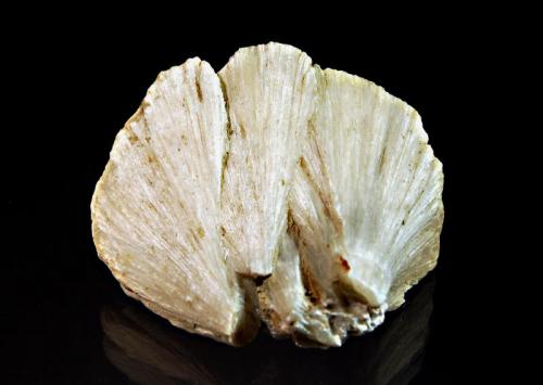 Ulexite
West Baker Mine, Boron, Kramer District, Kern Co., California
5.6 x 6.7 cm.
Clamshell ulexite collected from a mud seam in the hanging wall shale. (Author: crosstimber)