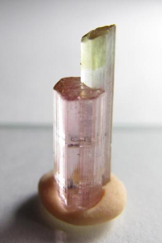 Elbaita (miembro del grupo de la turmalina)
Minas Gerais, Brasil
15 x 5 mm.
Una elbaita bicolor (verde y rosada) que parece un agregado de dos cristales con distinta altura. (Autor: prcantos)