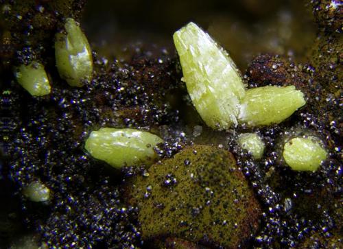 Vanadinita sobre mottramita.
Mina La Pastora, Berlanga, Badajoz, Extremadura, España.
Campo de visión de 2 mm.
 (Autor: Antonio Carmona)