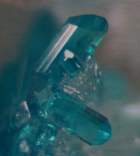 Caledonite.
Red Gill Mine, Red Gill, Caldbeck Fells, Cumbria, UK.
Crystals to 1 mm on 28 mm quartz matrix. (Author: Ru Smith)