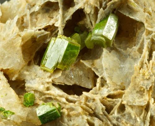 Pyromorphite.
Mexico Mine, Roughton Gill, Caldbeck Fells, Cumbria, UK.
Crystals to 5 mm on 3 cm matrix. (Author: Ru Smith)